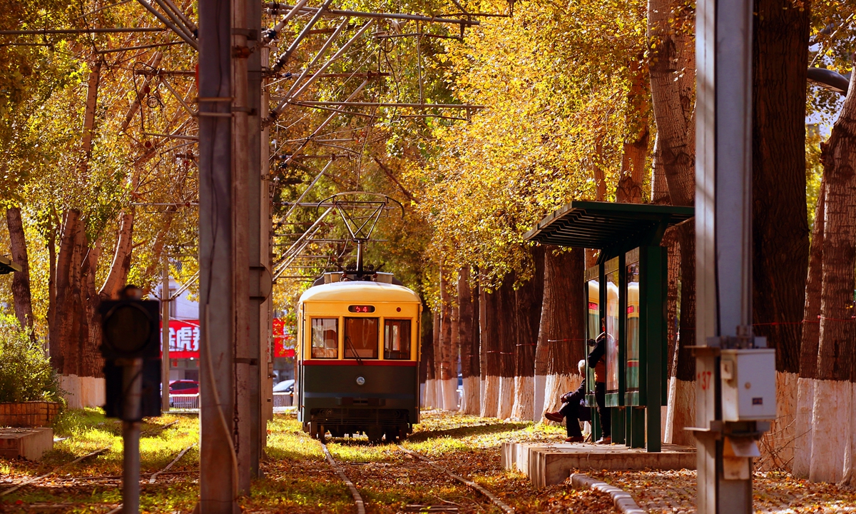 With the yellow autumn leaves, dim light and long shadow, the old tram in Changchun, Northeast China's Jilin Province, slowly drives through the street, taking passengers into a fairy-tale world. Photo: IC