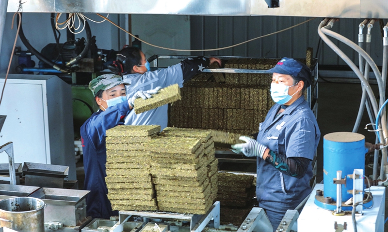 Workers make compressed tea to be exported to Uzbekistan at a poverty alleviation micro-factory in Guangshan county, Central China's Henan Province on October 28, 2021. The facility has been riding on the Belt and Road Initiative (BRI) to ship green tea bricks to seven countries and regions along the BRI route, and it's created more than 200 jobs for local women and poor villagers. 
Photo: cnsphoto
