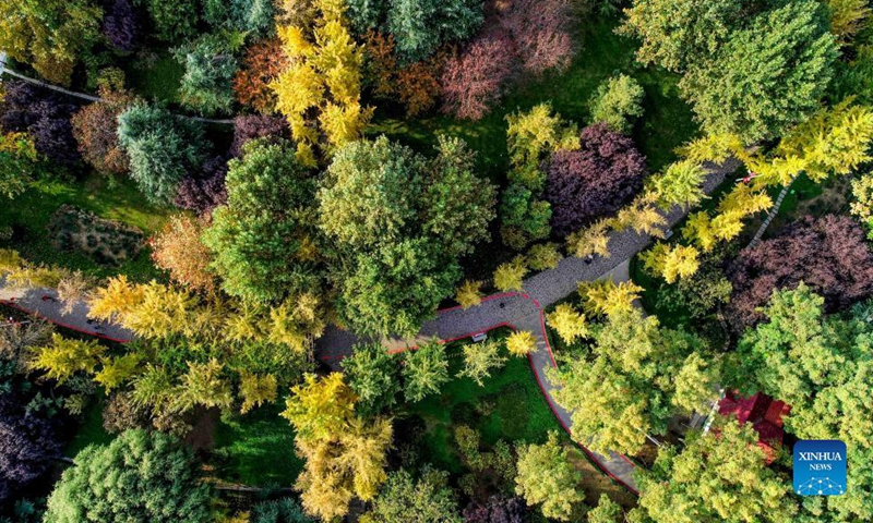 Aerial photo taken on Oct. 27, 2021 shows the autumn scenery in Haishan Park in Luquan District of Shijiazhuang, north China's Hebei Province.Photo:Xinhua