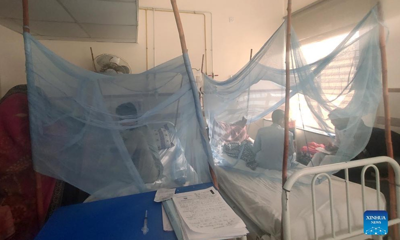 Patients affected with dengue fever are treated inside mosquito nets at a hospital in Islamabad, capital of Pakistan, Oct. 28, 2021.Photo:Xinhua