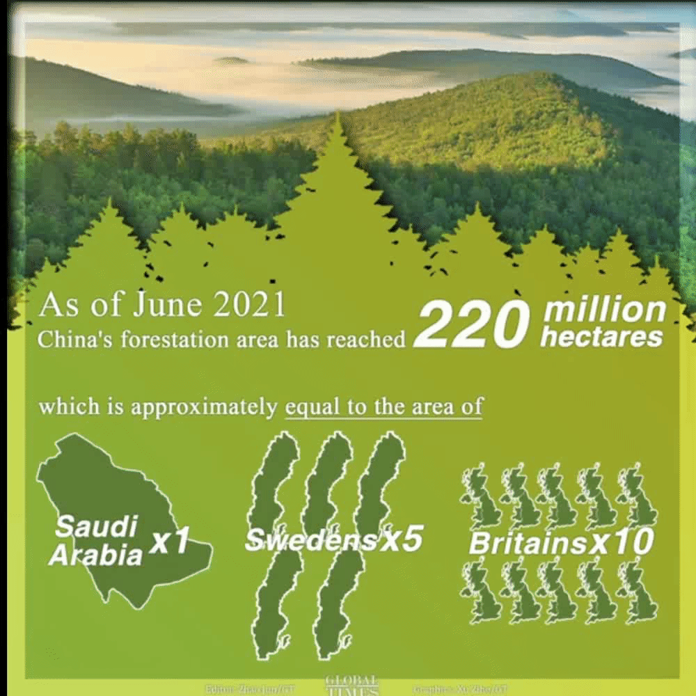 China is the country with the largest increase in forest resources and largest plantation area in the world. As of June 2021,China's forestation area has reached 220 million hectares,which is approximately equal to the area of 1 Saudi Arabia, 5 Swedens, or 10 Britains. Graphic: Xu Zihe/GT
