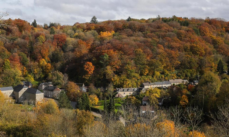 Photo taken on Oct. 31, 2021 shows an autumn scenery in the nature reserve of Park Furfooz in Dinant, Walloon Region, Belgium.Photo:Xinhua