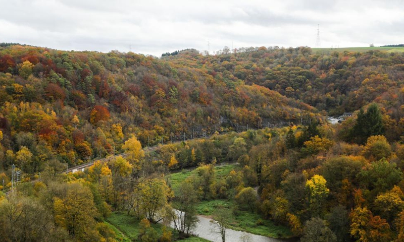 Photo taken on Oct. 31, 2021 shows an autumn scenery in the nature reserve of Park Furfooz in Dinant, Walloon Region, Belgium.Photo:Xinhua