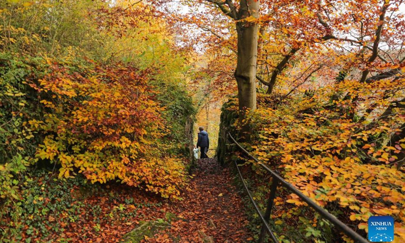 Tourists walk in the nature reserve of Park Furfooz in Dinant, Walloon Region, Belgium, Oct. 31, 2021.Photo:Xinhua