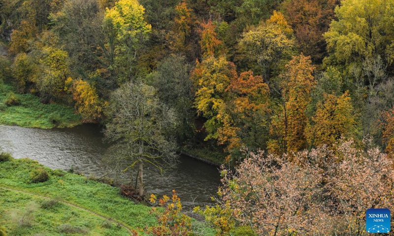 Photo taken on Oct. 31, 2021 shows an autumn scenery in the nature reserve of Park Furfooz in Dinant, Walloon Region, Belgium.Photo:Xinhua