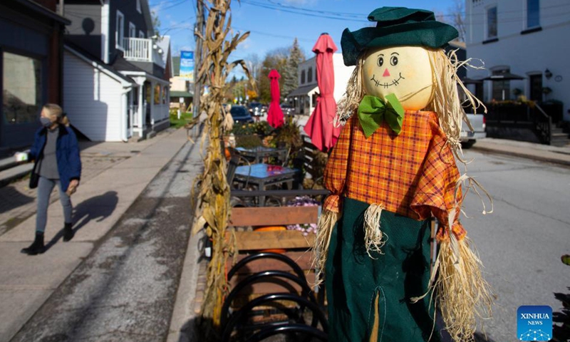 scarecrows seen in ontario, canada