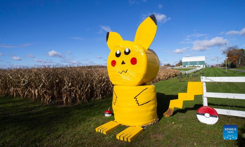 A Pikachu scarecrow is seen in Schomberg, Ontario, Canada, on Oct. 31, 2021. Photo:Xinhua