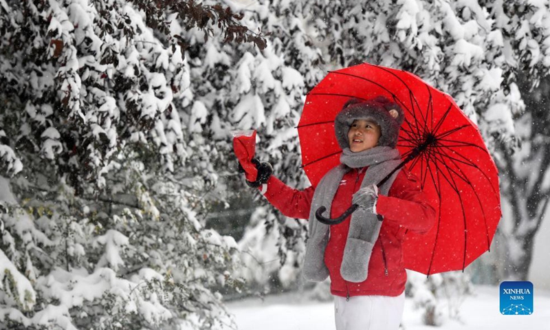 A visitor views the snow scenery at a park in north China's Tianjin, Nov. 7, 2021.Photo:Xinhua