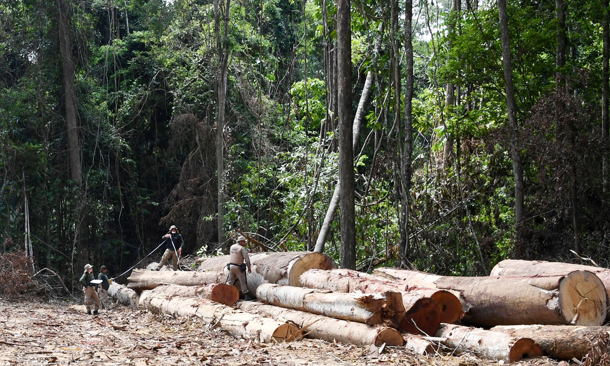 Officials from Para State, northern Brazil, inspect a deforested area in the Amazon rain forest during surveillance on September 22. Photo: AFP