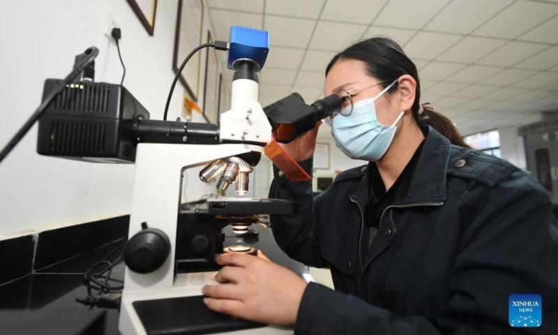 A staff member conducts examinations at a laboratory of CSCEC (China State Construction Engineering Corporation) Road and Bridge Group Co., Ltd. in Shijiazhuang, north China's Hebei Province, Nov. 8, 2021. The lab serves to examine the quality of raw materials of a series of infrastructure construction projects.Photo: Xinhua