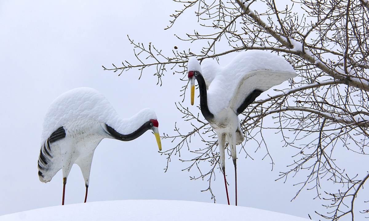 Shenyang Nanhu Park carpeted with snow Photo: CFP