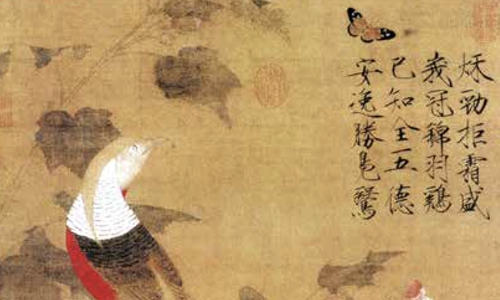 Hibiscus and Golden Pheasant by Emperor Huizong of the Song Dynasty, collected by the Palace Museum in Beijing Photo: Courtesy of China Intercontinental Press