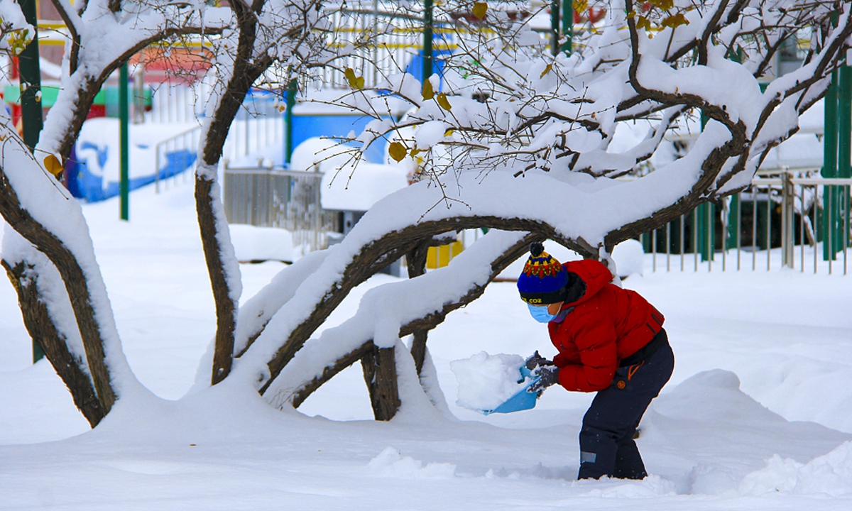 Shenyang Nanhu Park carpeted with snow Photo: CFP