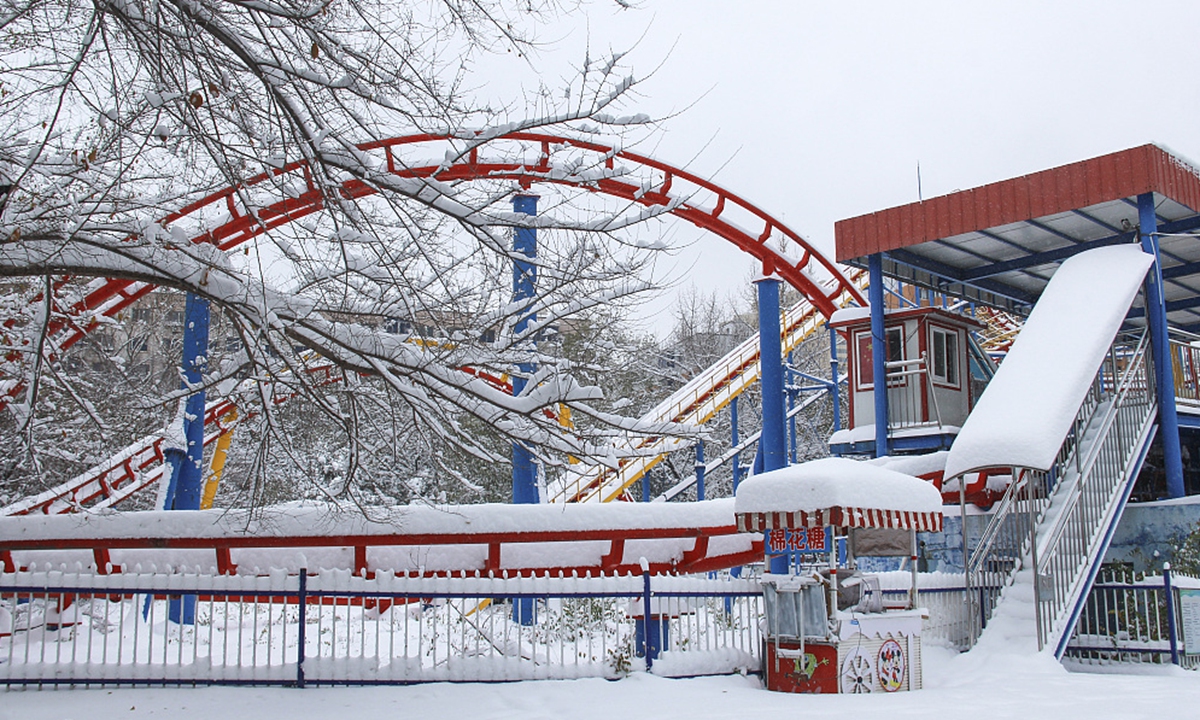 Shenyang Nanhu Park carpeted with snow Photo: CFP