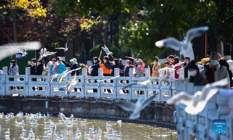 People view black-headed gulls at Cuihu Park in Kunming, southwest China's Yunnan Province, Nov. 11, 2021. Every year black-headed gulls flew to Kunming for warmer weather in winter. (Xinhua/Wang Guansen)