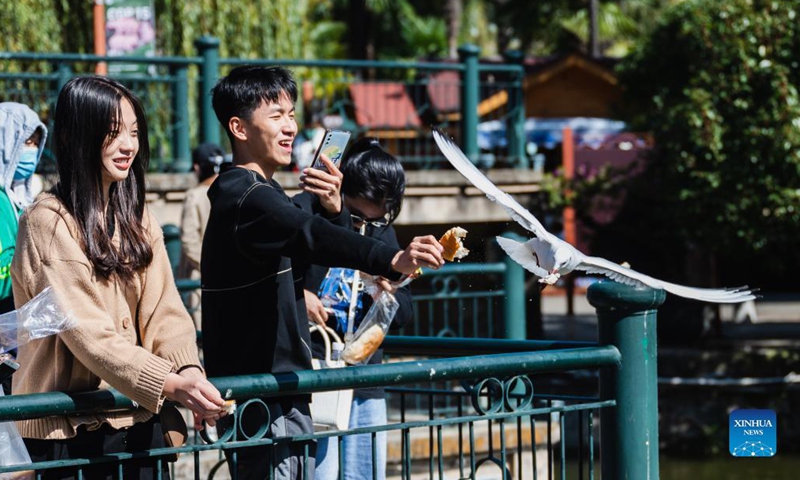 A citizen feeds a black-headed gull at Cuihu Park in Kunming, southwest China's Yunnan Province, Nov. 11, 2021. Every year black-headed gulls flew to Kunming for warmer weather in winter. (Xinhua/Wang Guansen)