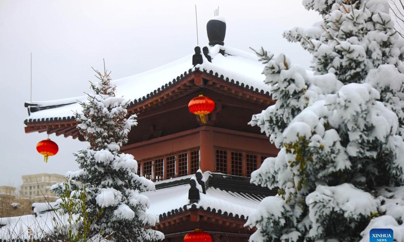 Photo taken on Nov. 9, 2021 shows the snow scenery of Shenshuiwan Park at the bank of Hunhe River in Shenyang, northeast China's Liaoning Province. Photo: Xinhua