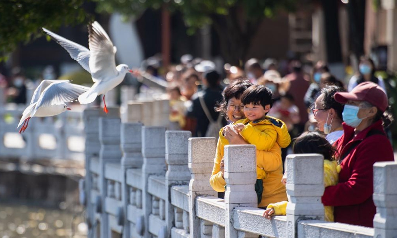 People view black-headed gulls at Cuihu Park in Kunming, southwest China's Yunnan Province, Nov. 11, 2021. Every year black-headed gulls flew to Kunming for warmer weather in winter. (Xinhua/Wang Guansen)