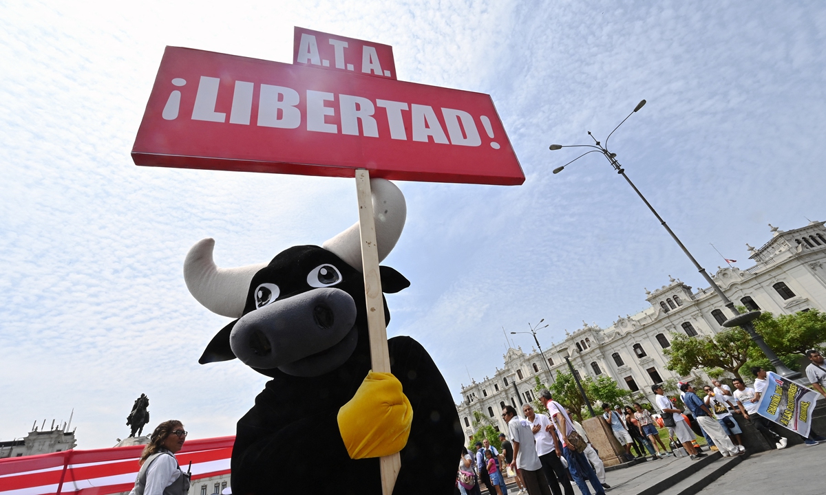 Supporters of bullfights and cockfights rally in Lima, Peru on February 21. Photos: AFP