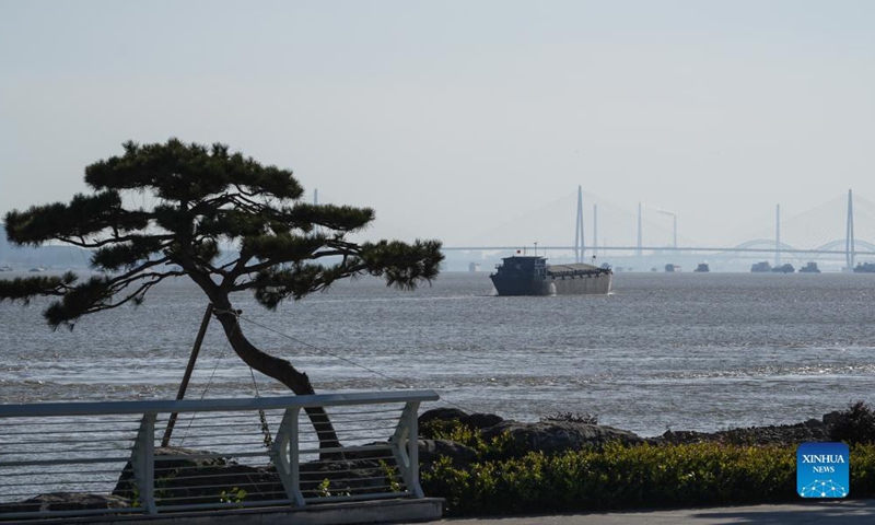 In recent years, Jiangsu Province in east China has promoted the restoration of the Yangtze River ecological environment with green development. Local authorities have dismantled illegal docks, shut down polluting enterprises and facilitated ecological  wetlands on both sides of the river. Many years of tree planting and wetland protection along the river in Jiangsu have paid off. Photo: Xinhua