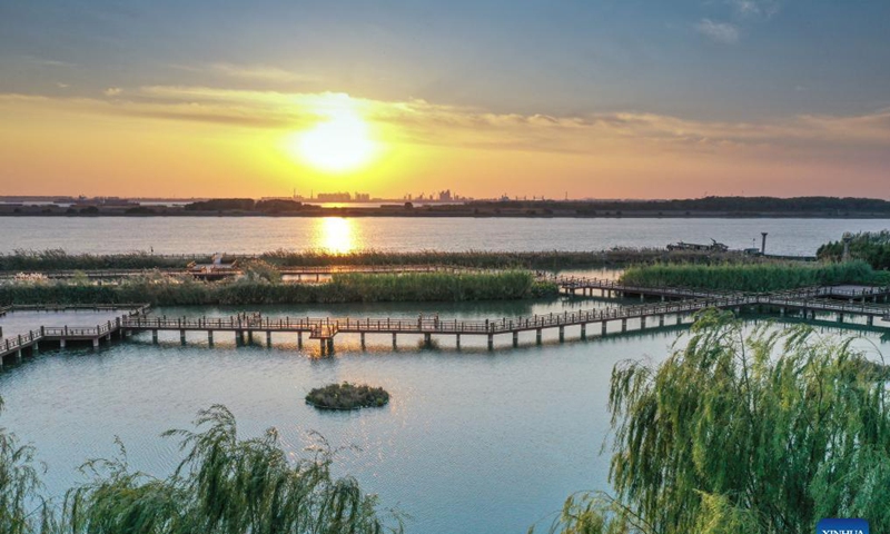 In recent years, Jiangsu Province in east China has promoted the restoration of the Yangtze River ecological environment with green development. Local authorities have dismantled illegal docks, shut down polluting enterprises and facilitated ecological  wetlands on both sides of the river. Many years of tree planting and wetland protection along the river in Jiangsu have paid off. Photo: Xinhua