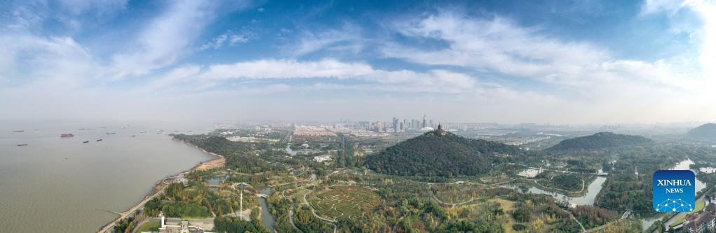 In recent years, Jiangsu Province in east China has promoted the restoration of the Yangtze River ecological environment with green development. Local authorities have dismantled illegal docks, shut down polluting enterprises and facilitated ecological  wetlands on both sides of the river. Many years of tree planting and wetland protection along the river in Jiangsu have paid off. Photo: Xinhua