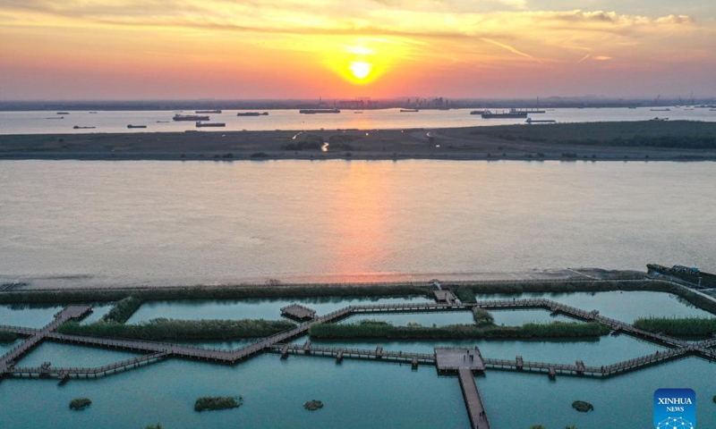 In recent years, Jiangsu Province in east China has promoted the restoration of the Yangtze River ecological environment with green development. Local authorities have dismantled illegal docks, shut down polluting enterprises and facilitated ecological  wetlands on both sides of the river. Many years of tree planting and wetland protection along the river in Jiangsu have paid off. Photo: Xinhua