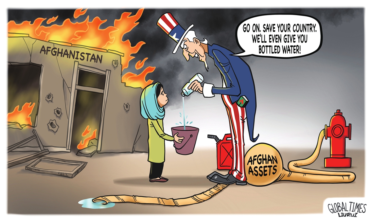 Two-faced aid Illustration: Liu Rui/GT