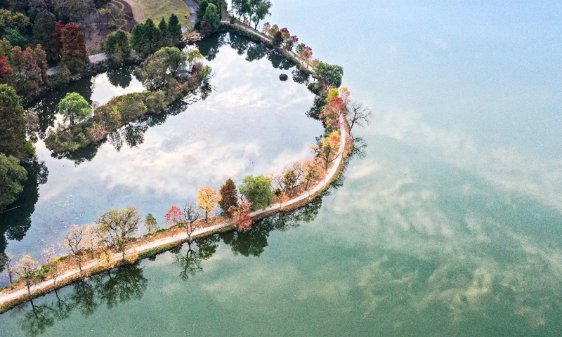 Scenery of Nanjing Qianhu Park in morning light Photo: Xinhua