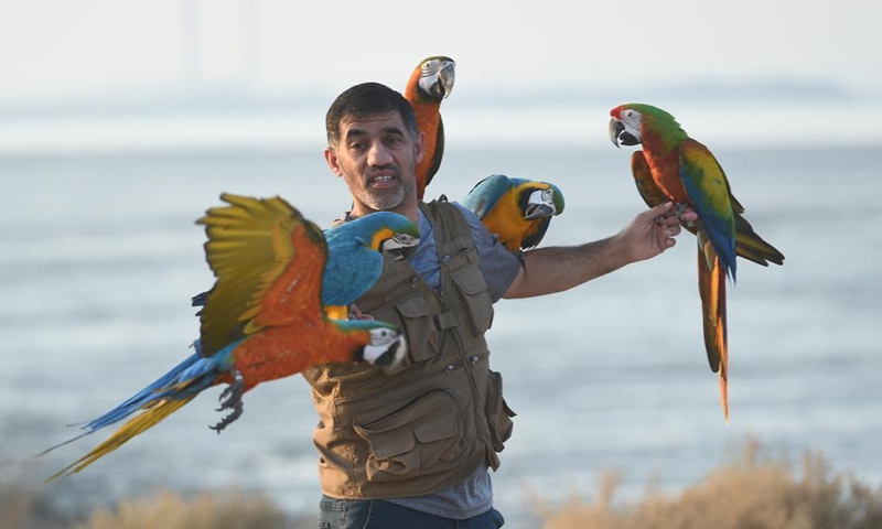 A man trains parrots during a training show in Capital Governorate, Kuwait, Nov. 15, 2021.Photo: Xinhua