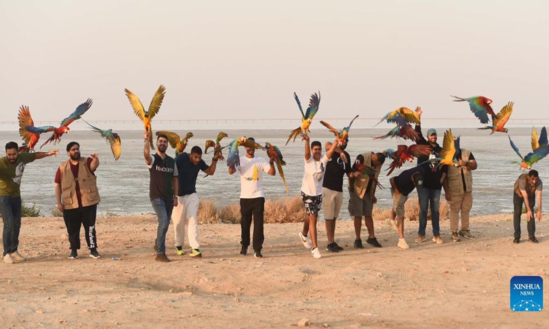 Bird lovers train parrots during a training show in Capital Governorate, Kuwait, Nov. 15, 2021.Photo: Xinhua
