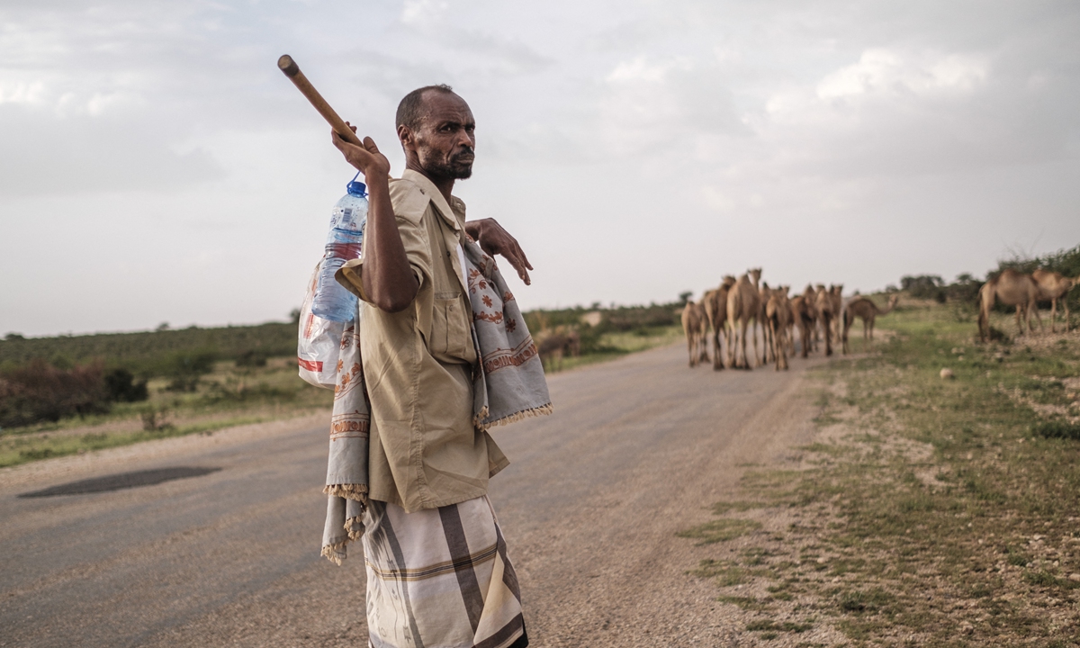 Ali Abdi Elmi walks with his herd of camels on the outskirts of the city of Hargeisa, Somalia, on September 18. 
Top: Ali Abdi Elmi holds a cup filled with camel milk. Photos: AFP