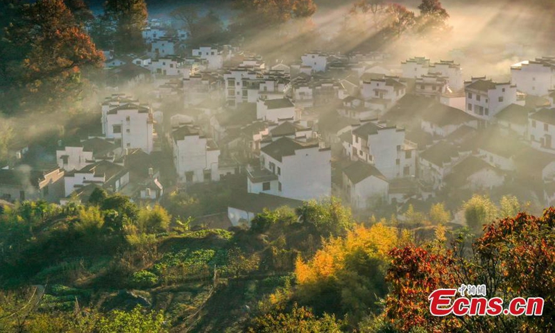 Maple leaves turn red in Shicheng village, East China's Jiangxi Province. Red leaves and white-and-gray-hued Hui-style architecture make a picturesque scenery. (Photo: China News Service/Hu Dunhuang)