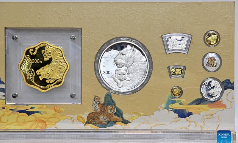 The commemorative coins to celebrate the Chinese zodiac Year of the Tiger are pictured in Beijing, capital of China, Nov. 18, 2021. Photo: Xinhua