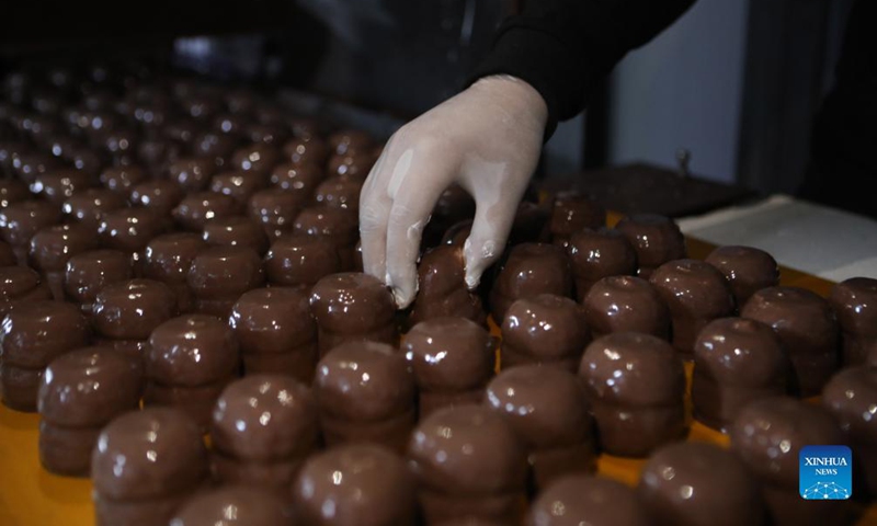 A Palestinian worker makes chocolate Ras el-Abd at a sweet factory in the West Bank city of Hebron, Nov. 18, 2021. Ras el-Abd is a traditional candy covered with chocolate. (Photo by Mamoun Wazwaz/Xinhua) 