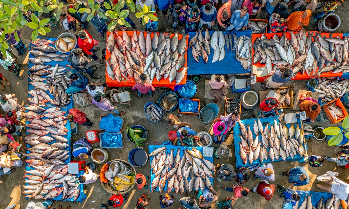Hundreds of fish traders set up stalls and sell freshly caught fish during the Nabanna festival in Bogra district, northern Bangladesh on Tuesday. Nabanna festival, which is a rural festival celebrated by the people of Hindu community, is a harvest celebration with food, dance and music. Photo: VCG