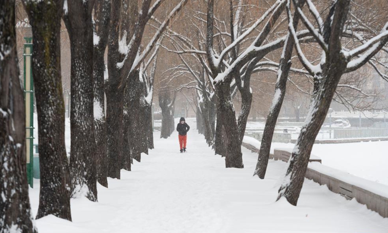 A citizen walks in snow at a park in Hegang City, northeast China's Heilongjiang Province, Nov. 22, 2021. Blizzards hit many parts of Heilongjiang on Monday.Photo:Xinhua