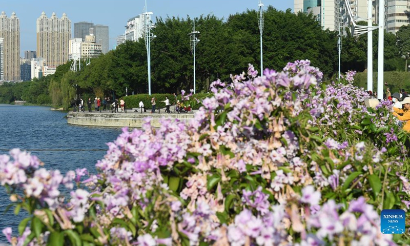 People view flowers by the Nanhu Lake in Nanning, south China's Guangxi Zhuang Autonomous Region, Nov. 23, 2021.Photo:Xinhua