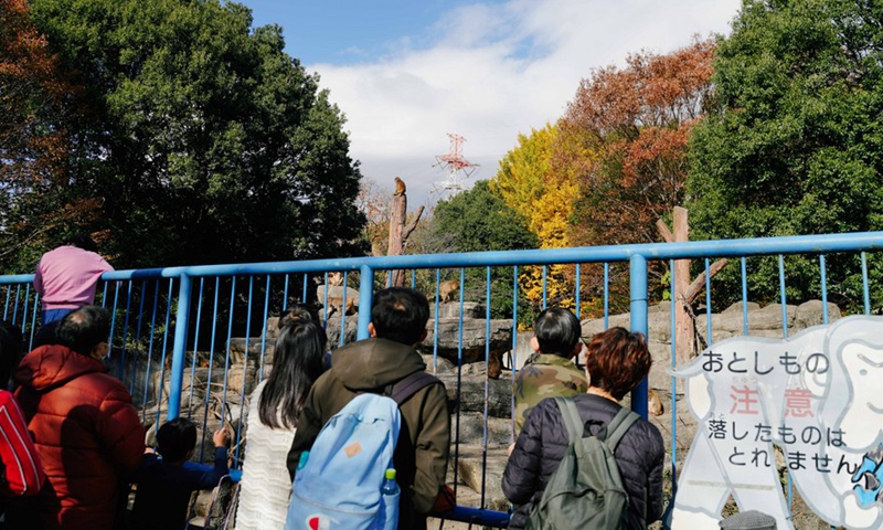 People view monkeys during Japan's Labor Thanksgiving Day holiday at Chikozen Park in Saitama, Japan, Nov. 23, 2021.Photo:Xinhua