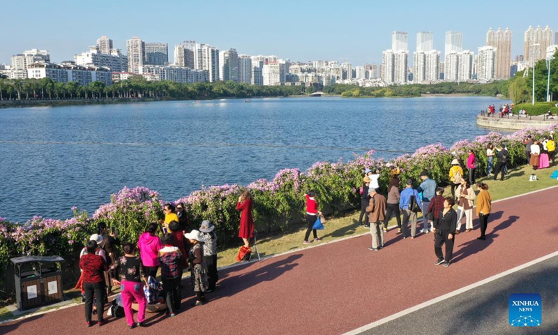 Photo taken with a drone on Nov. 23, 2021 shows people viewing flowers by the Nanhu Lake in Nanning, south China's Guangxi Zhuang Autonomous Region.Photo:Xinhua