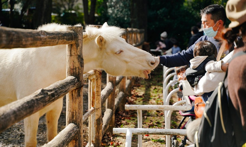 People feed animals during Japan's Labor Thanksgiving Day holiday at Chikozen Park in Saitama, Japan, Nov. 23, 2021.Photo:Xinhua