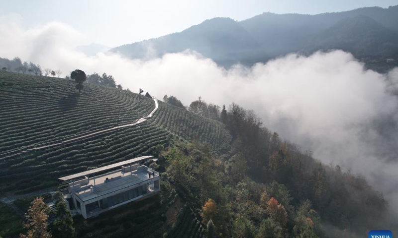 Aerial photo taken on Nov. 24, 2021 shows tea gardens in Yingliang Village, Xiangyang Township, Ziyang County of Ankang City, northwest China's Shaanxi Province. Famous for its tea plantation, Ziyang County has been in recent years promoting rural tourism in a bid to help increase the incomes of local residents by combining its tourism with tea culture. Photo: Xinhua