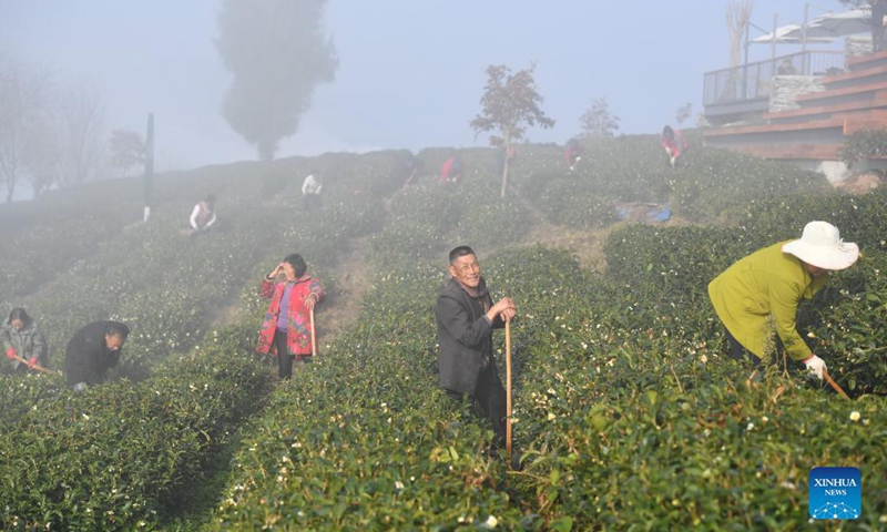 Aerial photo taken on Nov. 24, 2021 shows Xiangyang Township, in Ziyang County of Ankang City, northwest China's Shaanxi Province. Famous for its tea plantation, Ziyang County has been in recent years promoting rural tourism in a bid to help increase the incomes of local residents by combining its tourism with tea culture. Photo: Xinhua