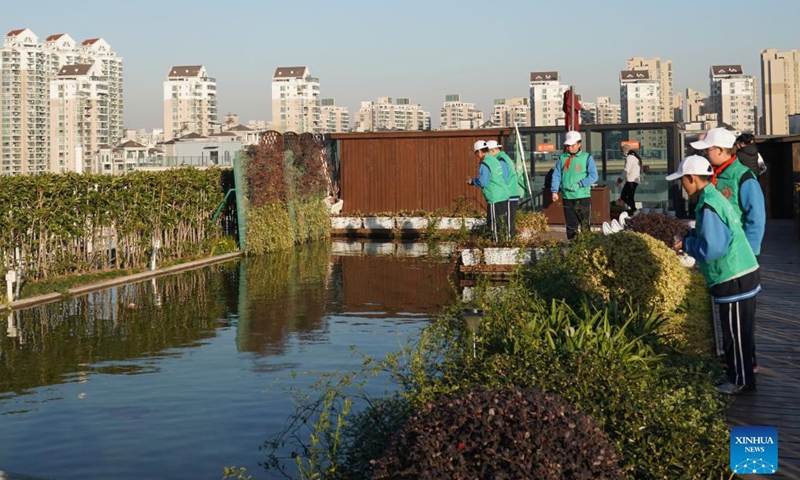 Photo taken on Nov. 24, 2021 shows Jinhua Middle School agronomy group working in their rooftop eco-garden, as part of an anniversary exhibition of the project.Photo:Xinhua