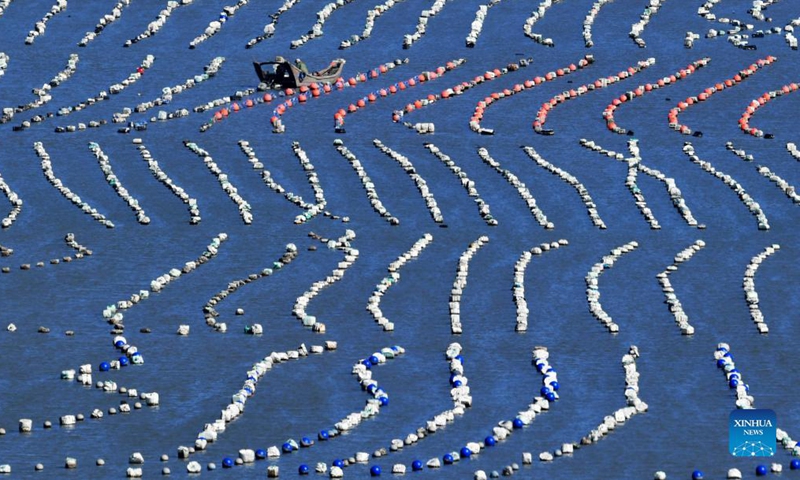 Photo taken on Dec. 1, 2021 shows a view of an aquaculture farming area in Lianjiang County, southeast China's Fujian Province. (Xinhua/Wei Peiquan)