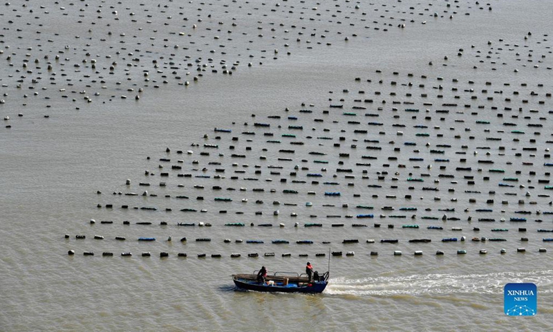 Photo taken on Dec. 1, 2021 shows a fishing boat sailing on an aquaculture farming area in Lianjiang County, southeast China's Fujian Province. (Xinhua/Wei Peiquan)