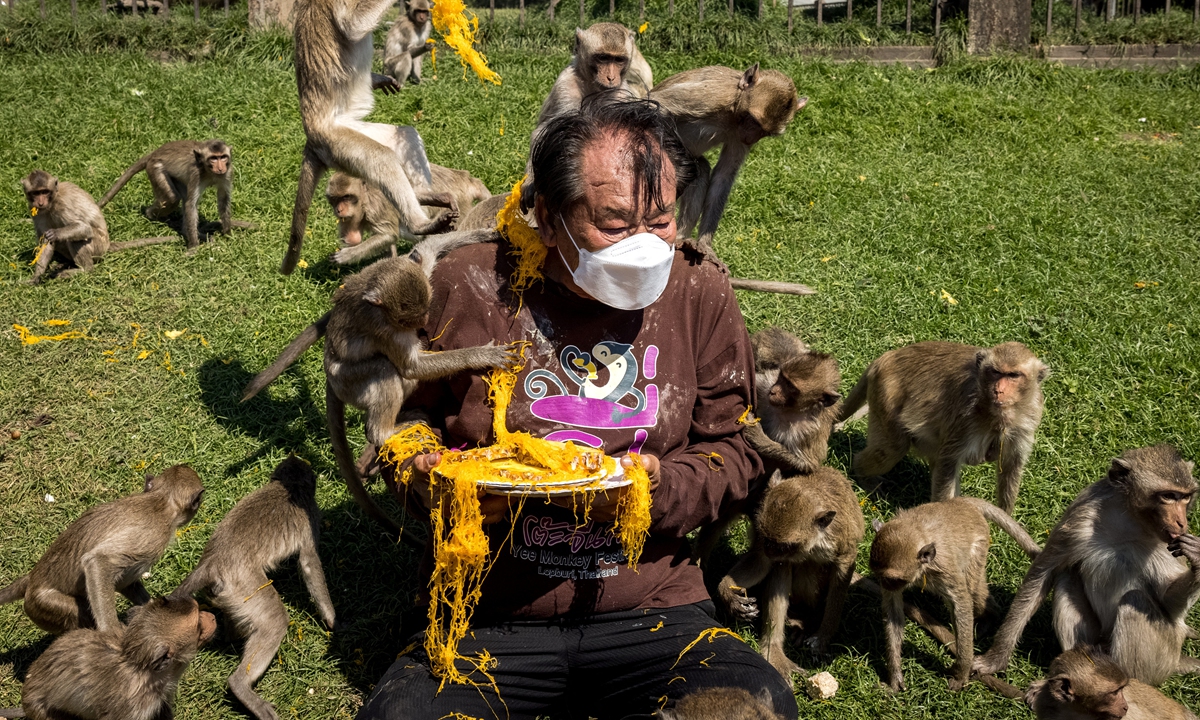 Macaque monkeys climb over a man as he serves them a Thai dessert outside the Phra Prang Sam Yod temple during the annual Monkey Buffet Festival in Lopburi Province, Bangkok on November 28, 2021. Photo: AFP
