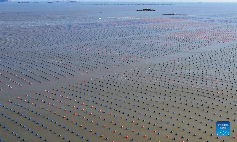 Photo taken on Dec. 1, 2021 shows a view of an aquaculture farming area in Lianjiang County, southeast China's Fujian Province. (Xinhua/Wei Peiquan)