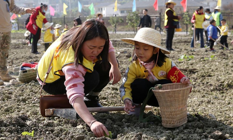 Photo taken on Nov. 27, 2021 shows children planting seedlings with their parents at Zhaizi Farming Experience Centre in Qianjiang, southwest China's Chongqing Municipality.Photo:Xinhua