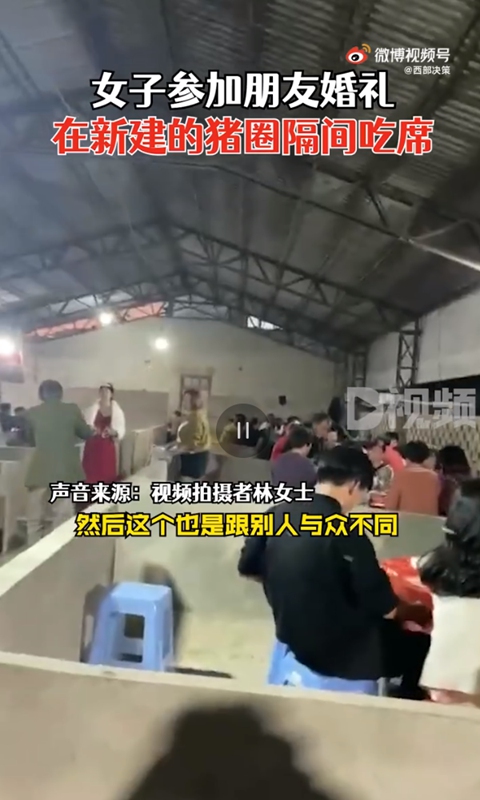 A video of a wedding reception in East China's Fujian Province went viral online as it was held at a pigsty. Photo: screenshot of video posted by Toutiao News. 